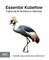 Essential Kubeflow