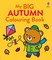 My Big Autumn Colouring Book