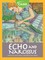 Echo and Narcissus
