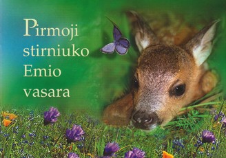 Pirmoji stirniuko Emio vasara Pirmoji stirniuko Emio vasara