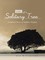 Sivakrishna, A: Songs of a Solitary Tree