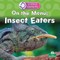 On the Menu: Insect Eaters