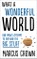What a Wonderful World: One Man's Attempt to Explain the Big Stuff