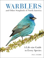 Sterry, P: Warblers and Other Songbirds of North America