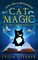 Love, Lies, and Hocus Pocus Cat Magic