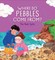 The Circle of Life: Where Do Pebbles Come From? The Rock Cycle