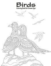 Birds Coloring Book for Grown-Ups 1