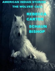 american indian stories