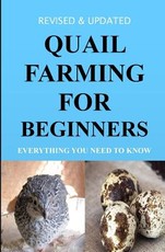 Quail Farming For Beginners