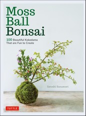 Moss Ball Bonsai
