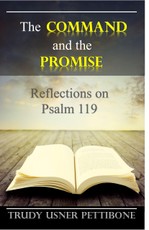 Command and the Promise