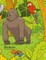 Monkeys Coloring Book 3