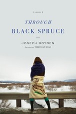 Through Black Spruce