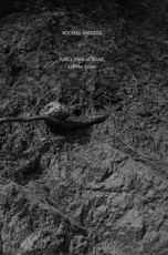 Split a Piece of Wood, Lift the Stone