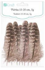 Plunksnos anties 15-20cm 5g