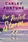 Our Perfect Storm