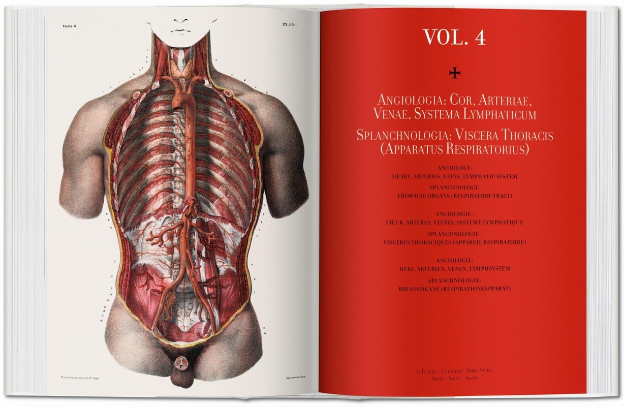 健康・医学 ATLAS OF HUMAN ANATOMY AND SURGERY Atlas Of Human Anatomy And Surgery - Maison et Vie