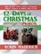 12 Days of Christmas Projects