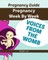 Pregnancy week by week : Pregnancy Guide