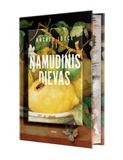 Namudinis dievas