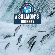 A Salmon's Journey