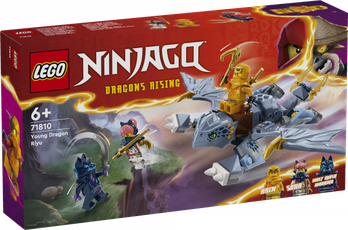 LEGO Ninjago Young Dragon Riyu