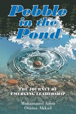 Pebble in the Pond