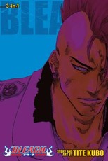Bleach (3-In-1 Edition), Vol. 23