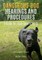 North Carolina Guide to Local Government Dangerous Dog Hearings and Procedures