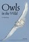 Owls In The Wild