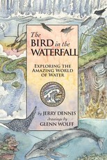 The Bird in the Waterfall