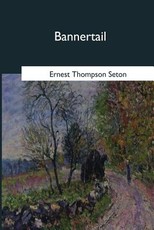 Bannertail