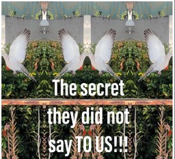 The secret they did not say TO US!!!