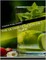 The Ultimate Detox Diet Book