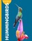 Curious about Hummingbirds