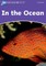 In the Ocean