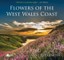 Flowers of the West Wales Coast