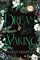 A Dream Upon Waking