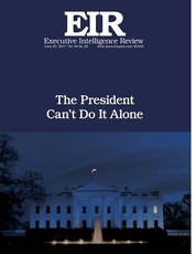 The President Can't Do It Alone