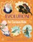 Evolution for Curious Kids