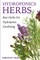 Hydroponics Herbs