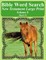 Bible Word Search New Testament Large Print Volume 8