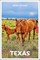 Insight Guides Texas: Travel Guide with eBook