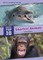 Smartest Animals