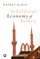The Political Economy of Turkey