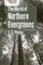 The World of Northern Evergreens (el. knyga)