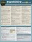 Psychology Terminology
