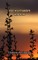 Nomadic Nourishment for the Soul