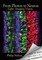 From Photon to Neuron