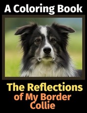 The Reflections of My Border Collie